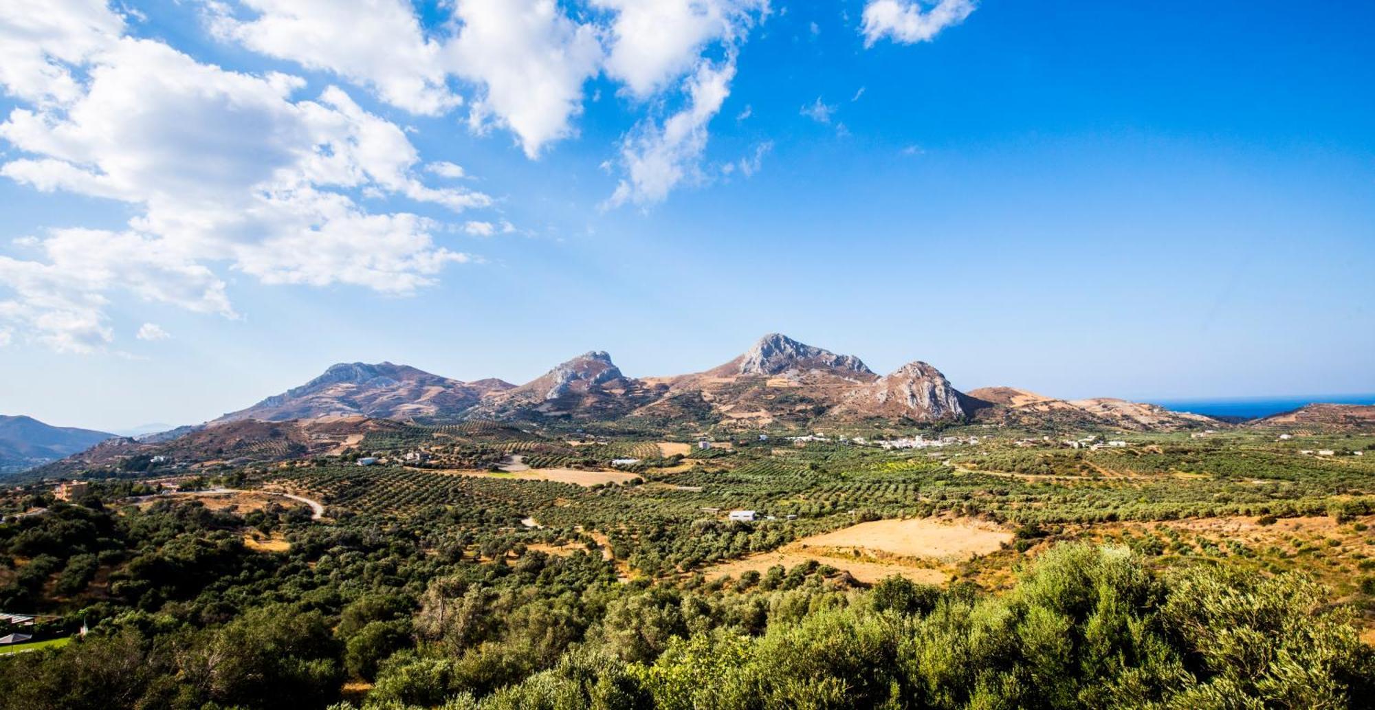 Villa Erofili Plakias South Rethimno Crete Asomatoi Eksteriør bilde