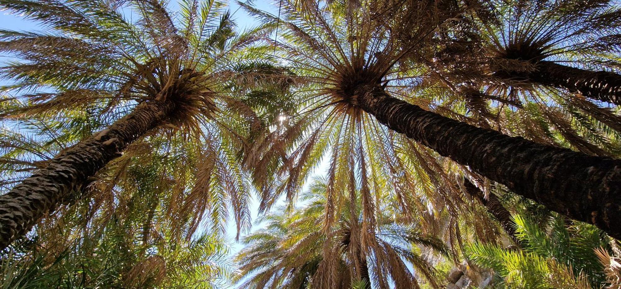Villa Erofili Plakias South Rethimno Crete Asomatoi Eksteriør bilde